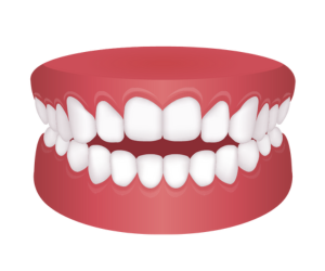 開咬 {{brizy_dc_image_alt imageSrc=